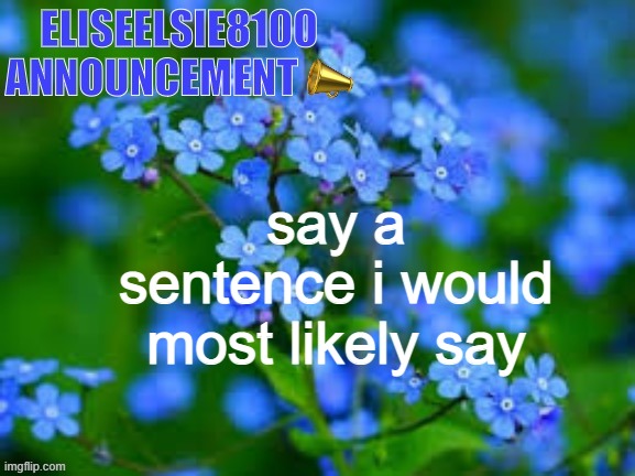 EliseElsie8100 Announcement | say a sentence i would most likely say | image tagged in eliseelsie8100 announcement | made w/ Imgflip meme maker
