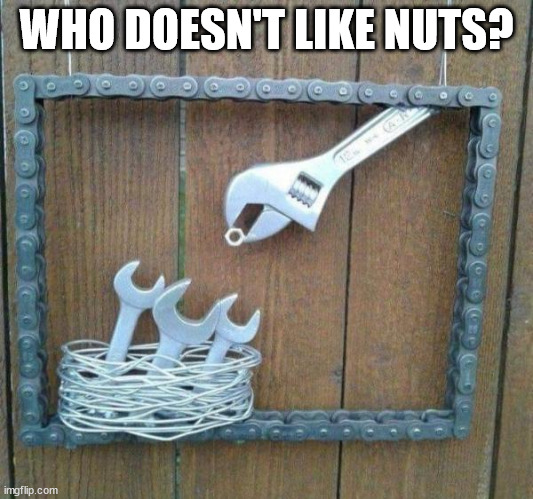 Ahhh... nuts...  not enough dark humor in this... | WHO DOESN'T LIKE NUTS? | image tagged in dark humor | made w/ Imgflip meme maker