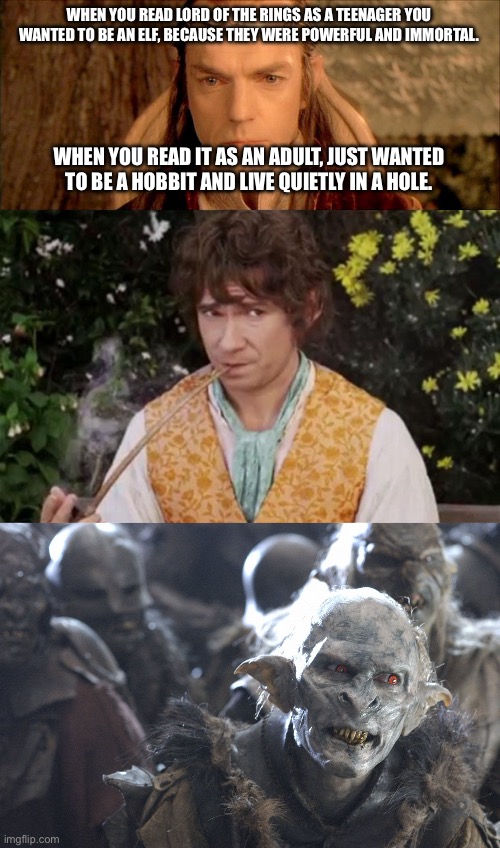 WHEN YOU READ LORD OF THE RINGS AS A TEENAGER YOU WANTED TO BE AN ELF, BECAUSE THEY WERE POWERFUL AND IMMORTAL. WHEN YOU READ IT AS AN ADULT, JUST WANTED TO BE A HOBBIT AND LIVE QUIETLY IN A HOLE. | image tagged in lord elrond,hobbitsmoke,orc yeah | made w/ Imgflip meme maker