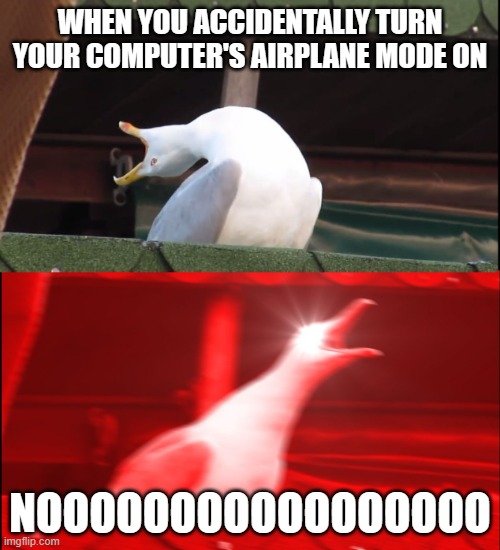 this is old now but i still sometimes do this *pain* | WHEN YOU ACCIDENTALLY TURN YOUR COMPUTER'S AIRPLANE MODE ON; NOOOOOOOOOOOOOOOOO | image tagged in screaming bird | made w/ Imgflip meme maker