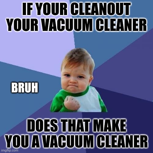 Huh? | IF YOUR CLEANOUT YOUR VACUUM CLEANER; BRUH; DOES THAT MAKE YOU A VACUUM CLEANER | image tagged in memes,success kid | made w/ Imgflip meme maker