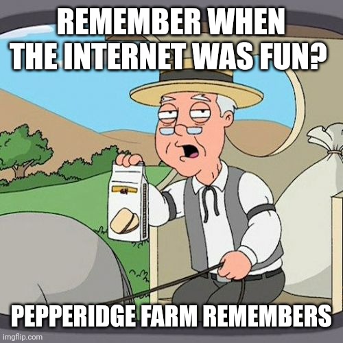 Rip wholesome internet | REMEMBER WHEN THE INTERNET WAS FUN? PEPPERIDGE FARM REMEMBERS | image tagged in memes,pepperidge farm remembers | made w/ Imgflip meme maker