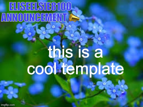 ngl kinda like it | this is a cool template | image tagged in eliseelsie8100 announcement | made w/ Imgflip meme maker