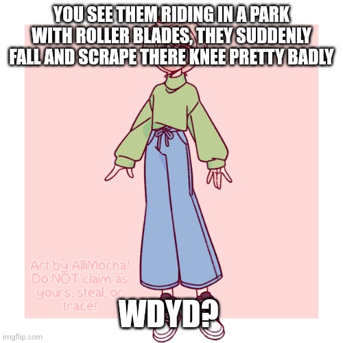 Normal rules apply | YOU SEE THEM RIDING IN A PARK WITH ROLLER BLADES, THEY SUDDENLY FALL AND SCRAPE THERE KNEE PRETTY BADLY; WDYD? | image tagged in if romance top required | made w/ Imgflip meme maker