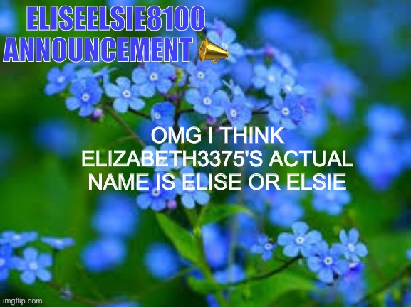 ong | OMG I THINK ELIZABETH3375'S ACTUAL NAME IS ELISE OR ELSIE | image tagged in eliseelsie8100 announcement | made w/ Imgflip meme maker