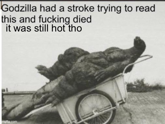 Godzilla | it was still hot tho | image tagged in godzilla | made w/ Imgflip meme maker
