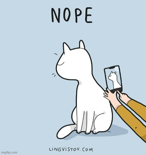 A Cat's Way Of Thinkung | image tagged in memes,comics/cartoons,take,cats,picture,nope | made w/ Imgflip meme maker
