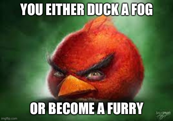 /j by the way | YOU EITHER DUCK A FOG; OR BECOME A FURRY | image tagged in realistic red angry birds,balls,anti furry | made w/ Imgflip meme maker