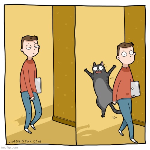A Cat Guy's Way Of Thinking | image tagged in memes,comics/cartoons,home,cats,surprise,what is that | made w/ Imgflip meme maker