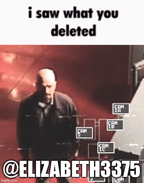 i saw what you deleted | @ELIZABETH3375 | image tagged in i saw what you deleted | made w/ Imgflip meme maker