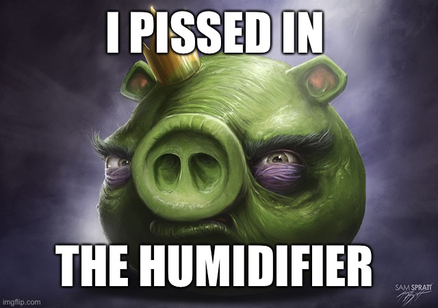 Angry Birds Realistic King Pig | I PISSED IN; THE HUMIDIFIER | image tagged in angry birds realistic king pig | made w/ Imgflip meme maker