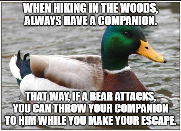 Actual Advice Mallard | WHEN HIKING IN THE WOODS, ALWAYS HAVE A COMPANION. THAT WAY, IF A BEAR ATTACKS, YOU CAN THROW YOUR COMPANION TO HIM WHILE YOU MAKE YOUR ESCAPE. | image tagged in memes,actual advice mallard,bears,woods,hiking | made w/ Imgflip meme maker