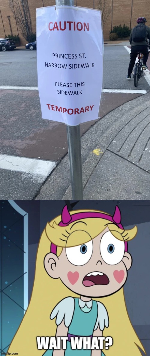 image tagged in star butterfly wait what,you had one job,star vs the forces of evil,memes | made w/ Imgflip meme maker