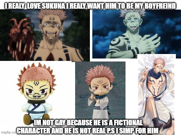 I LOVE SUKUNA AND I SIMP FOR HIM | I REALY  LOVE SUKUNA I REALY WANT HIM TO BE MY BOYFREIND; IM NOT GAY BECAUSE HE IS A FICTIONAL CHARACTER AND HE IS NOT REAL P.S I SIMP FOR HIM | made w/ Imgflip meme maker