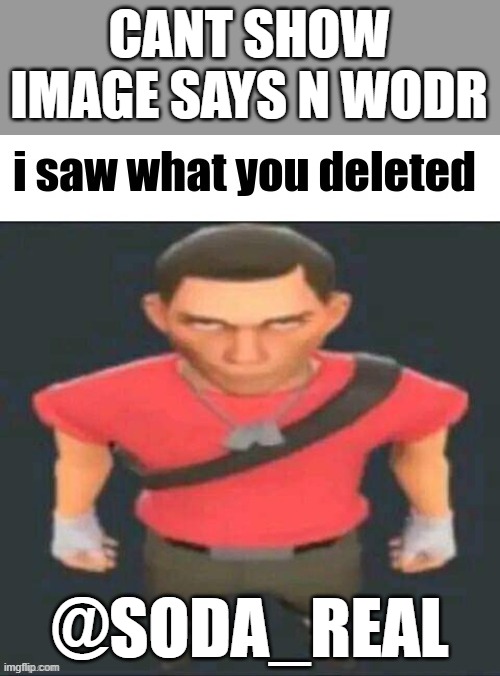 i saw what you deleted scout | CANT SHOW IMAGE SAYS N WODR; @SODA_REAL | image tagged in i saw what you deleted scout | made w/ Imgflip meme maker