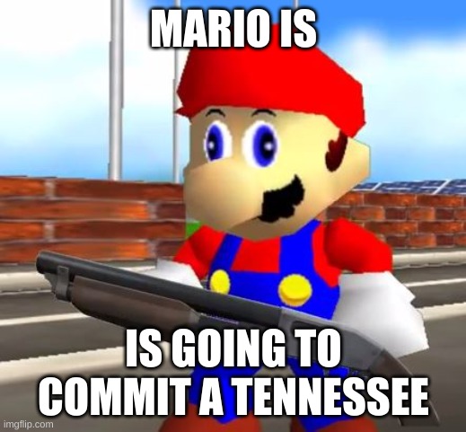 SMG4 Shotgun Mario | MARIO IS IS GOING TO COMMIT A TENNESSEE | image tagged in smg4 shotgun mario | made w/ Imgflip meme maker