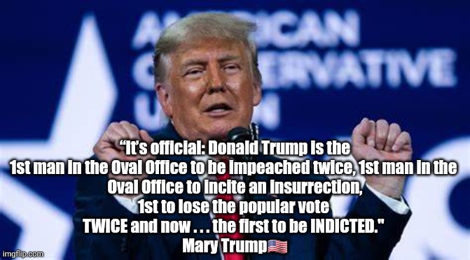 trump: a first | “It’s official: Donald Trump is the
1st man in the Oval Office to be impeached twice, 1st man in the 
Oval Office to incite an insurrection,
1st to lose the popular vote 
TWICE and now . . . the first to be INDICTED." 
Mary Trump🇺🇲 | image tagged in politics,trump,criminal | made w/ Imgflip meme maker