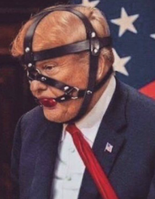 Donald Trump Ball Gag Blank Meme Template