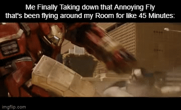 Finally it's gone | Me Finally Taking down that Annoying Fly that's been flying around my Room for like 45 Minutes: | image tagged in gifs,fly,memes,funny,relatable memes,so true memes | made w/ Imgflip video-to-gif maker