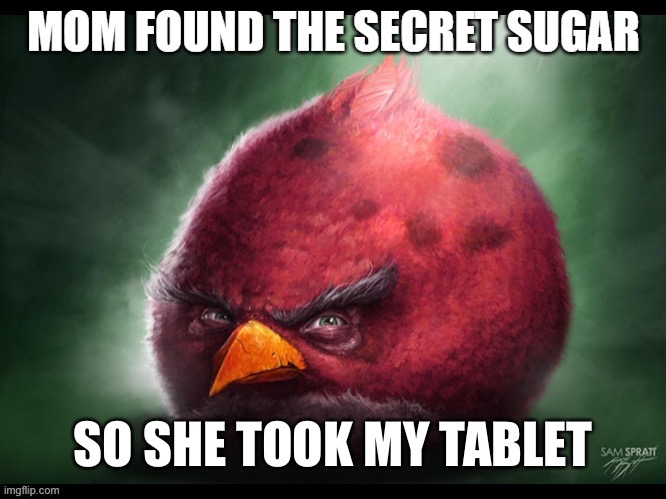 SO SHE TOOK MY TABLET | made w/ Imgflip meme maker