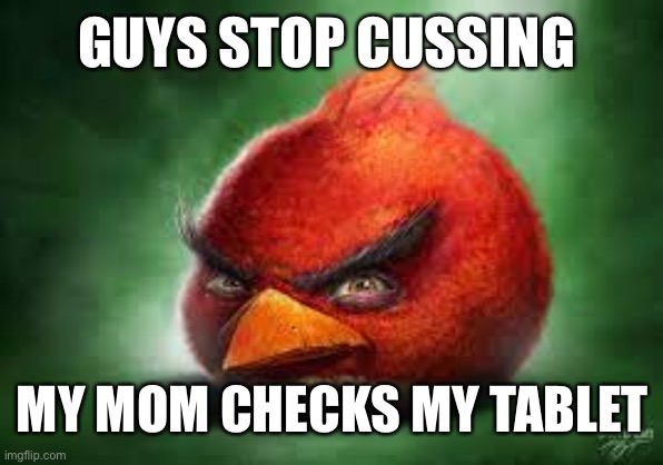 Realistic Red Angry Birds | GUYS STOP CUSSING; MY MOM CHECKS MY TABLET | image tagged in realistic red angry birds | made w/ Imgflip meme maker