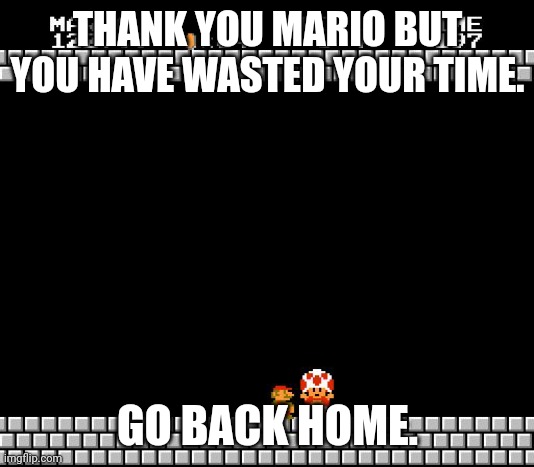 Mario: NOOOOOOOOOOOOO | THANK YOU MARIO BUT YOU HAVE WASTED YOUR TIME. GO BACK HOME. | image tagged in thank you mario,why just why,i hate you toad | made w/ Imgflip meme maker