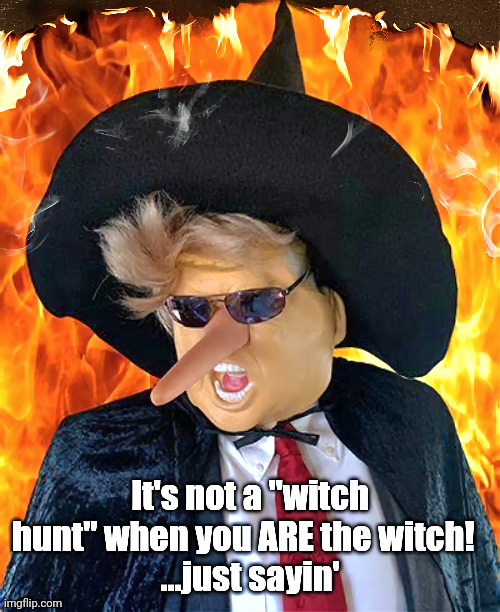 NOT a Witch Hunt, trump | image tagged in donald trump you're fired | made w/ Imgflip meme maker