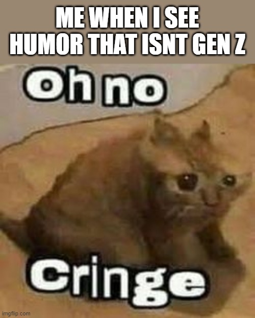 Me when the when the the me when: | ME WHEN I SEE HUMOR THAT ISNT GEN Z | image tagged in oh no cringe | made w/ Imgflip meme maker