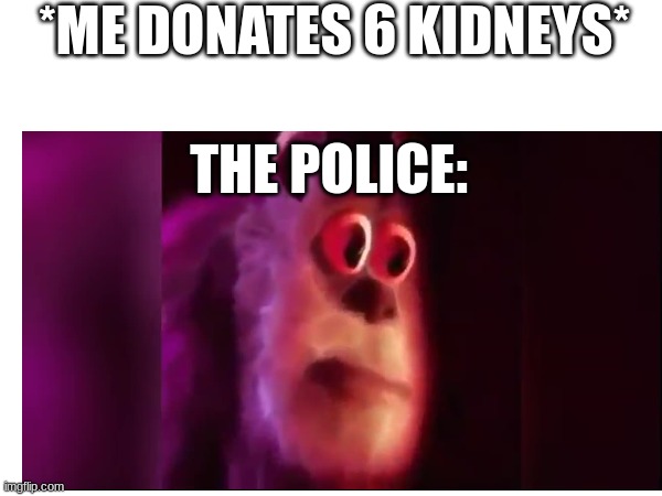 the police be sus of me | *ME DONATES 6 KIDNEYS*; THE POLICE: | image tagged in funny meme,the police | made w/ Imgflip meme maker