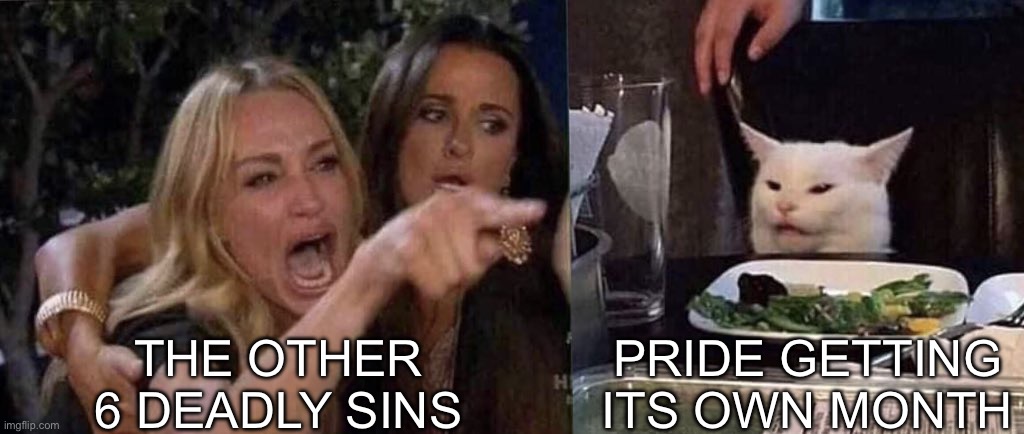woman yelling at cat | THE OTHER 6 DEADLY SINS PRIDE GETTING ITS OWN MONTH | image tagged in woman yelling at cat | made w/ Imgflip meme maker