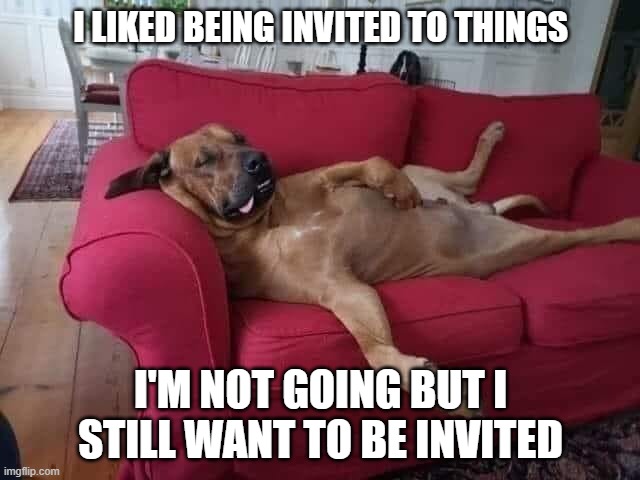 Dog on couch relaxing | I LIKED BEING INVITED TO THINGS; I'M NOT GOING BUT I STILL WANT TO BE INVITED | image tagged in pet,sarcasm,funny memes,dog,laugh | made w/ Imgflip meme maker