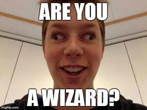 ARE YOU A WIZARD? | image tagged in wizard | made w/ Imgflip meme maker