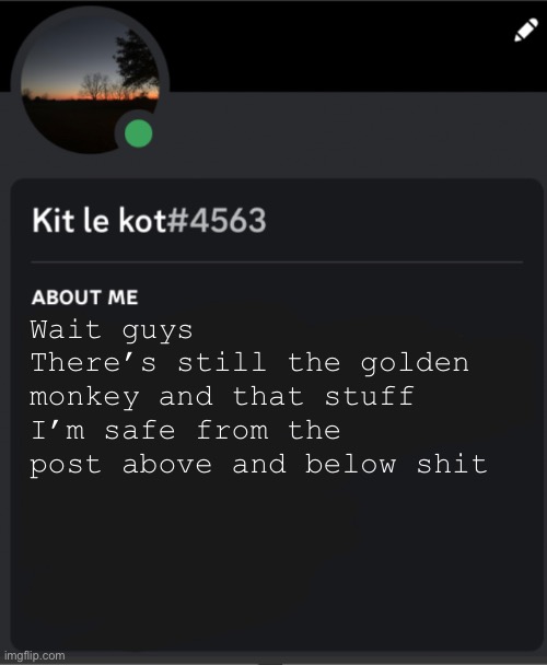 Oh and I’m going to use the monkey. | Wait guys 
There’s still the golden monkey and that stuff
I’m safe from the post above and below shit | made w/ Imgflip meme maker