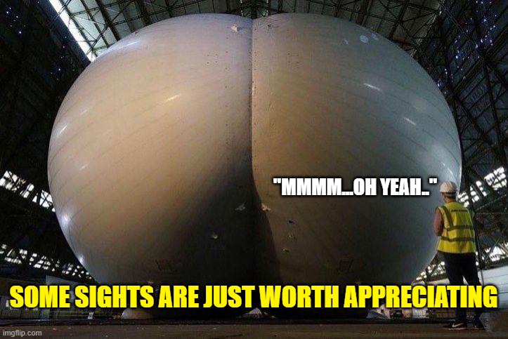 A sight to behold | "MMMM...OH YEAH.."; SOME SIGHTS ARE JUST WORTH APPRECIATING | image tagged in fun | made w/ Imgflip meme maker
