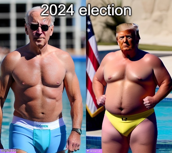 2024 election | made w/ Imgflip meme maker