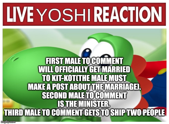 Live Yoshi Reaction | FIRST MALE TO COMMENT WILL OFFICIALLY GET MARRIED TO KIT-KOT(THE MALE MUST MAKE A POST ABOUT THE MARRIAGE). SECOND MALE TO COMMENT IS THE MINISTER. 
THIRD MALE TO COMMENT GETS TO SHIP TWO PEOPLE | image tagged in live yoshi reaction | made w/ Imgflip meme maker
