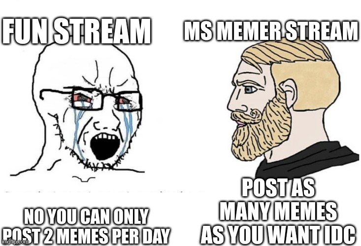 Why imgflip | FUN STREAM; MS MEMER STREAM; POST AS MANY MEMES AS YOU WANT IDC; NO YOU CAN ONLY POST 2 MEMES PER DAY | image tagged in soyboy vs yes chad | made w/ Imgflip meme maker