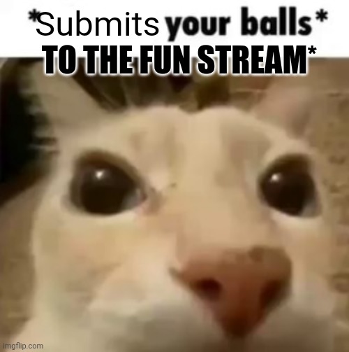 X your balls | Submits; TO THE FUN STREAM* | image tagged in x your balls | made w/ Imgflip meme maker