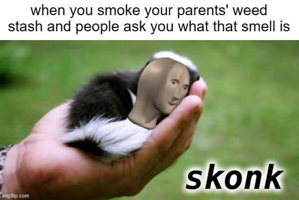Don't do drugs, ANYONE. | when you smoke your parents' weed stash and people ask you what that smell is | image tagged in meme man skonk,weed,smoking weed | made w/ Imgflip meme maker