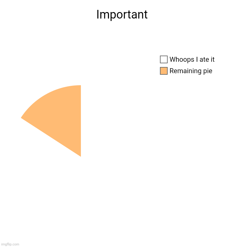 Important | Important | Remaining pie, Whoops I ate it | image tagged in charts,pie charts | made w/ Imgflip chart maker