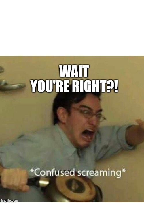 confused screaming | WAIT YOU'RE RIGHT?! | image tagged in confused screaming | made w/ Imgflip meme maker