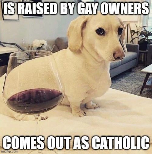 Why bother trying to hide cities on hills? | IS RAISED BY GAY OWNERS; COMES OUT AS CATHOLIC | image tagged in homophobic dog | made w/ Imgflip meme maker