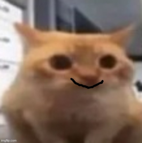 spoingus | image tagged in spoingus | made w/ Imgflip meme maker