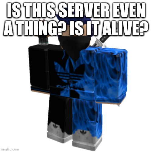 Zero Frost | IS THIS SERVER EVEN A THING? IS IT ALIVE? | image tagged in zero frost | made w/ Imgflip meme maker