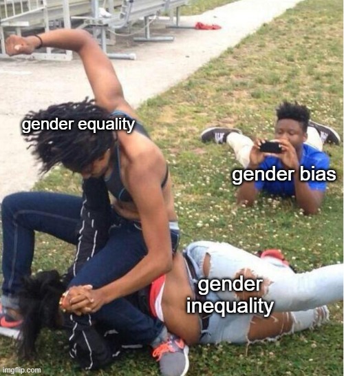 Guy recording a fight | gender equality; gender bias; gender inequality | image tagged in guy recording a fight | made w/ Imgflip meme maker