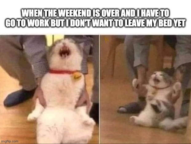 please, five more minutes :'( | WHEN THE WEEKEND IS OVER AND I HAVE TO GO TO WORK BUT I DON'T WANT TO LEAVE MY BED YET | image tagged in cat escorted | made w/ Imgflip meme maker