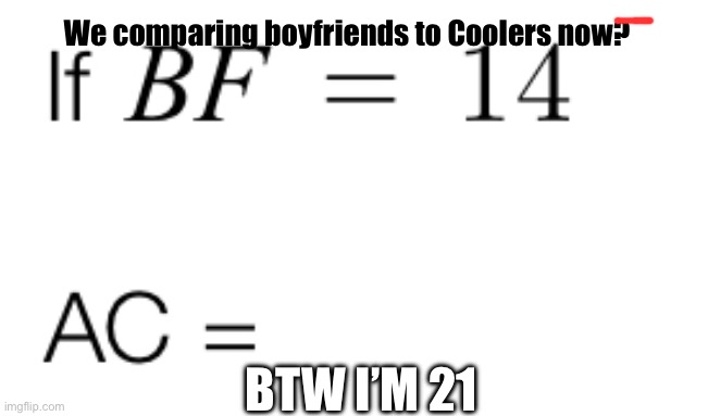Hehehehe ehahahHAhhHAHAHAHAAAARGAGGAGAGA | We comparing boyfriends to Coolers now? BTW I’M 21 | image tagged in frfrfrfrfr,frfr,fr | made w/ Imgflip meme maker