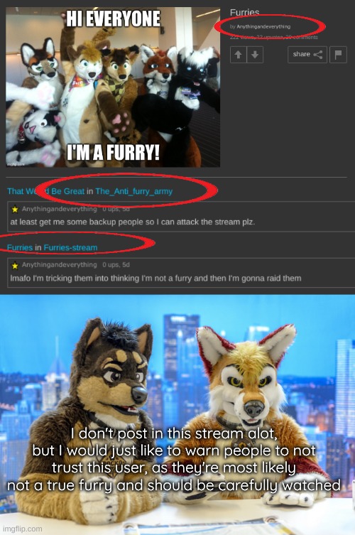(I don't visit this stream alot because im honestly alittle shy, but hi everyone) | I don't post in this stream alot, but I would just like to warn people to not trust this user, as they're most likely not a true furry and should be carefully watched | image tagged in furry news,anythingandeverything,furry,furries | made w/ Imgflip meme maker