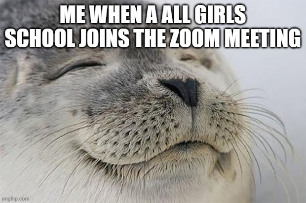 school | ME WHEN A ALL GIRLS SCHOOL JOINS THE ZOOM MEETING | image tagged in memes,satisfied seal | made w/ Imgflip meme maker