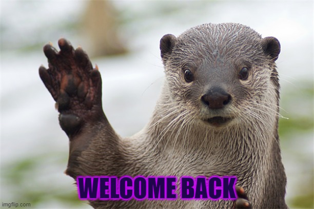 Good to be back | WELCOME BACK | image tagged in welcome back otter | made w/ Imgflip meme maker